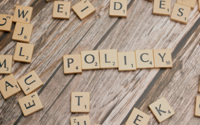 Publicidad, identidad y política: lo que revela el boom de anuncios en el YouTube conservador en 2025